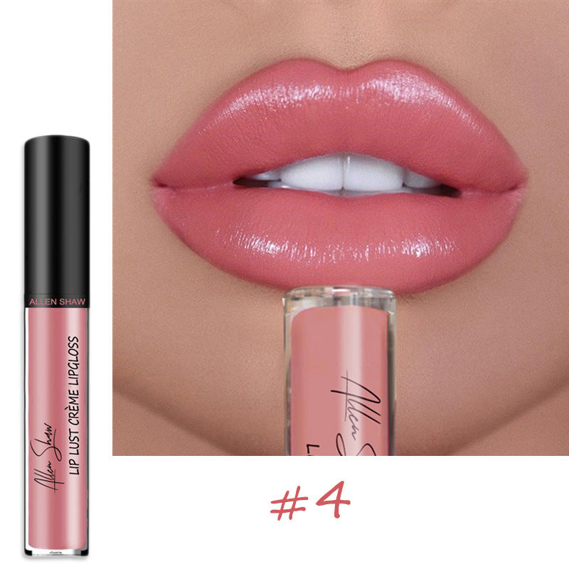 Lipstick moisturizing gloss
