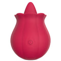 vibrator
