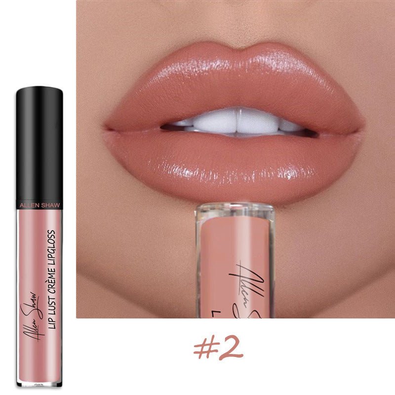 Lipstick moisturizing gloss