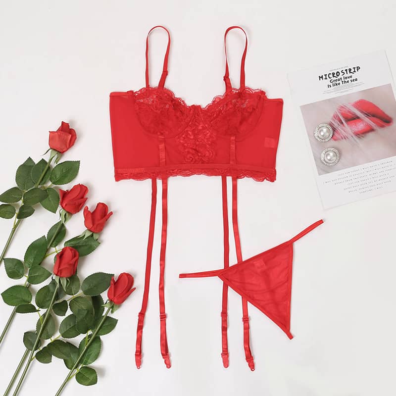 Red Simple Lace Hollow Out Sexy Lingerie Set Overview